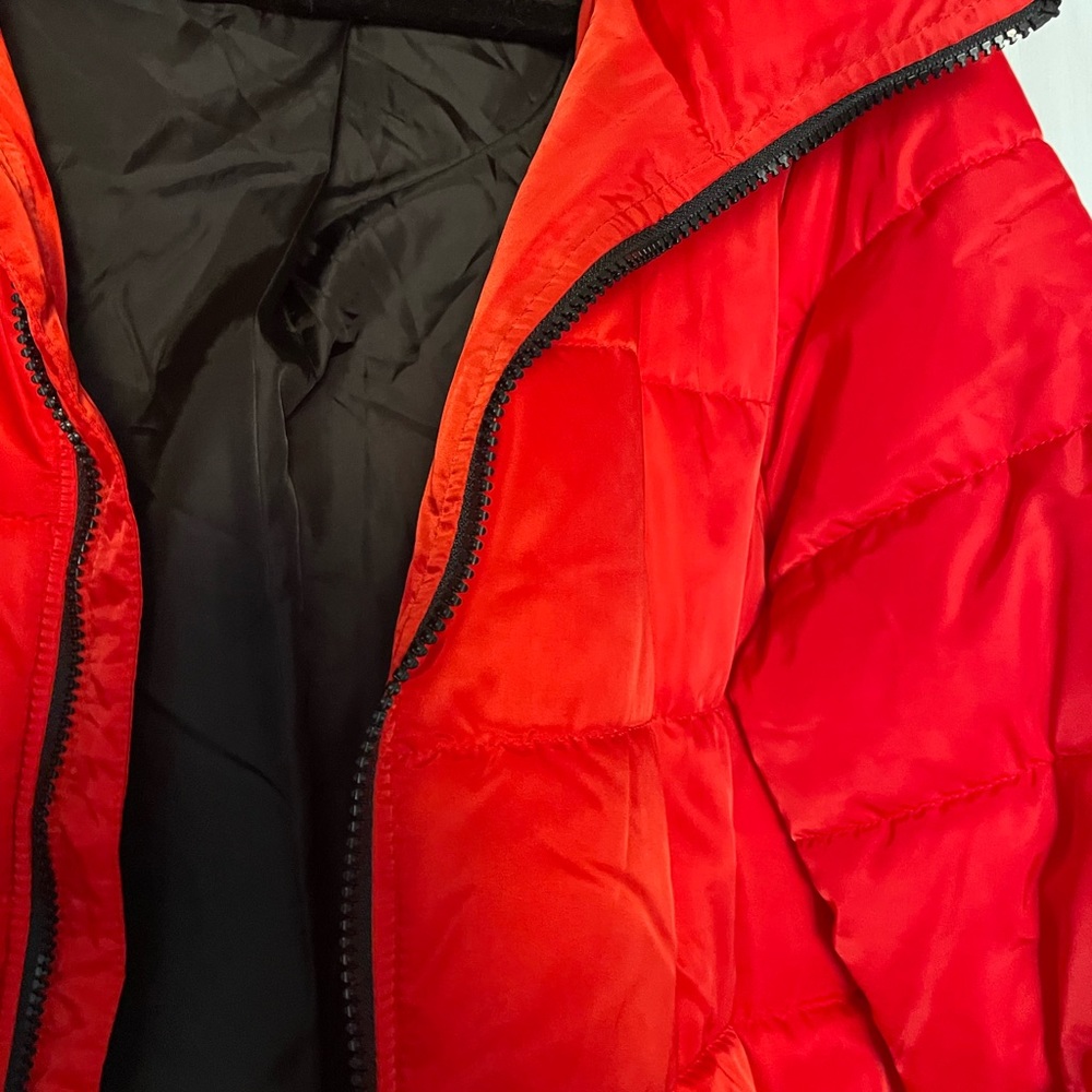Puffer Jacket - Picture 4 of 8